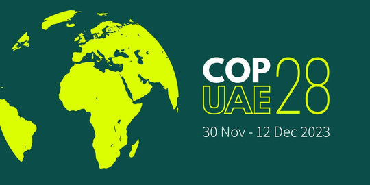 COP 28 in Dubai – How Sustainable Clothing Brands Can Lead the Way