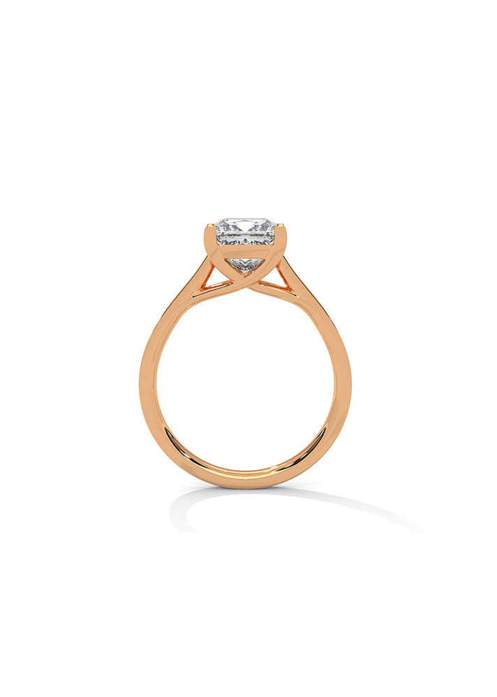 Princess Cut Ring With 24 Diamonds-Cat01104