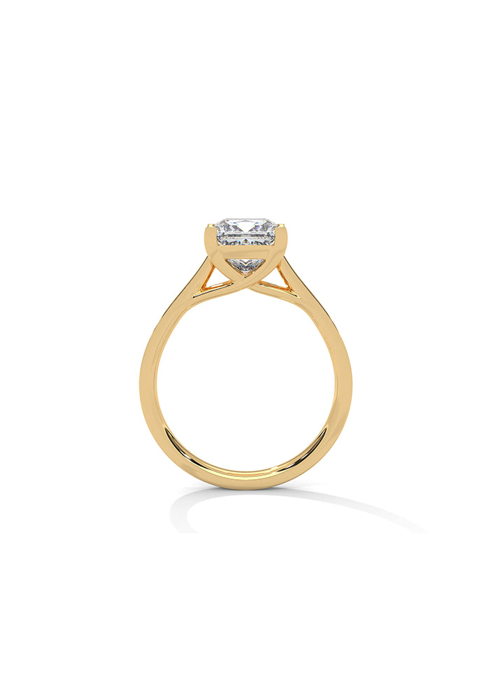 Princess Cut Ring With 24 Diamonds-Cat01104