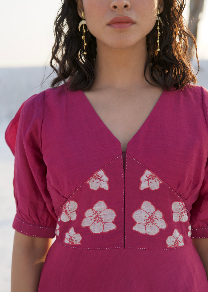 Raspberry Dress