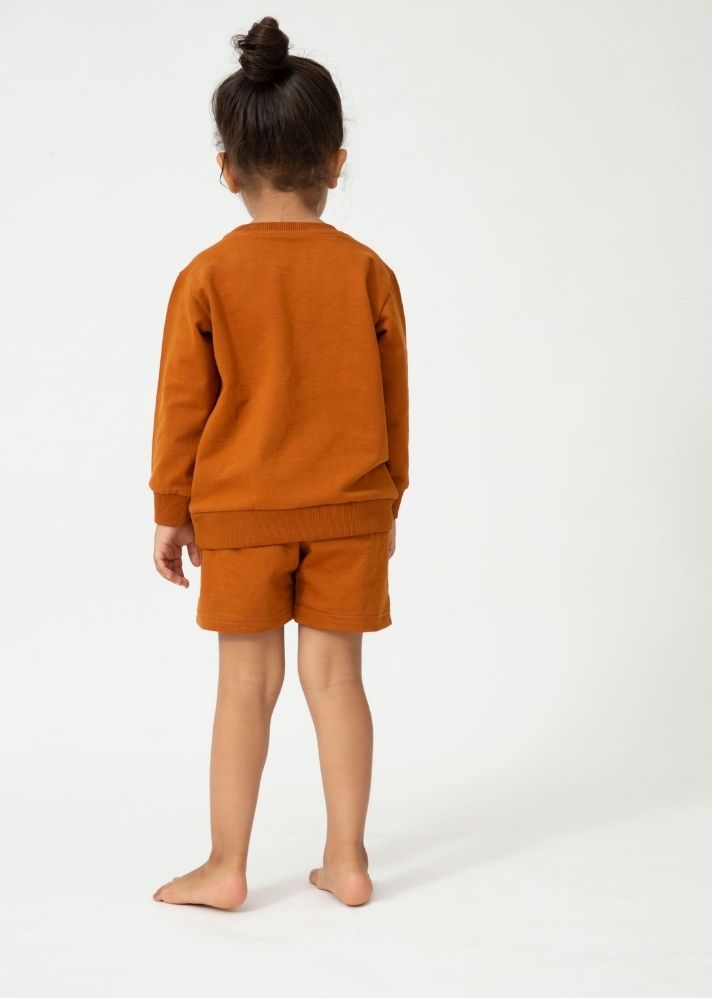 Brown Transition Set Terracotta Shorts
